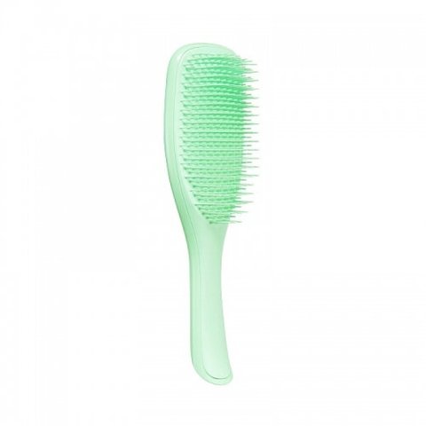 Tangle Teezer The Wet Detangler Mint Karma (Щітка для волосся) 2711 фото