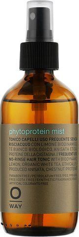 Oway Phytoprotein Mist 160 мл (Зволожуючий фітопротеїновий спрей для волосся) O0034 фото