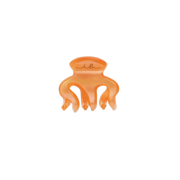 invisibobble CLIPSTAR XS Oasis Petit Citrus (Заколка для волосся) 4063528084095 фото