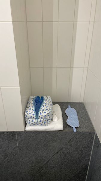Кейс для Dyson Cutie (35см / 17см / 10см) 550077L фото