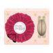 invisibobble GIFT SET What a Blast (Подарунковий набір) 4063528043450 фото 1