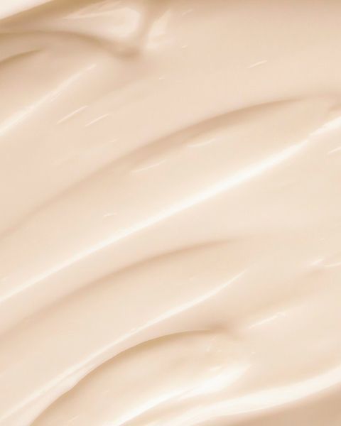 TERRAZEN PDRN TOTAL RENEW CREAM 50 ML (Відновлюючий крем з полінуклеотидами) TRZ20100 фото