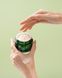 TERRAZEN PDRN TOTAL RENEW CREAM 50 ML (Відновлюючий крем з полінуклеотидами) TRZ20100 фото 4